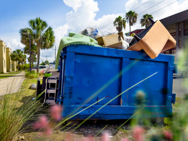 Debris Removal in Mission, TX